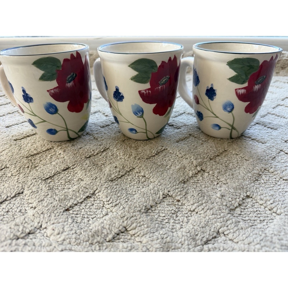 Pfaltzgraff Scarlett Mug Set Of 3